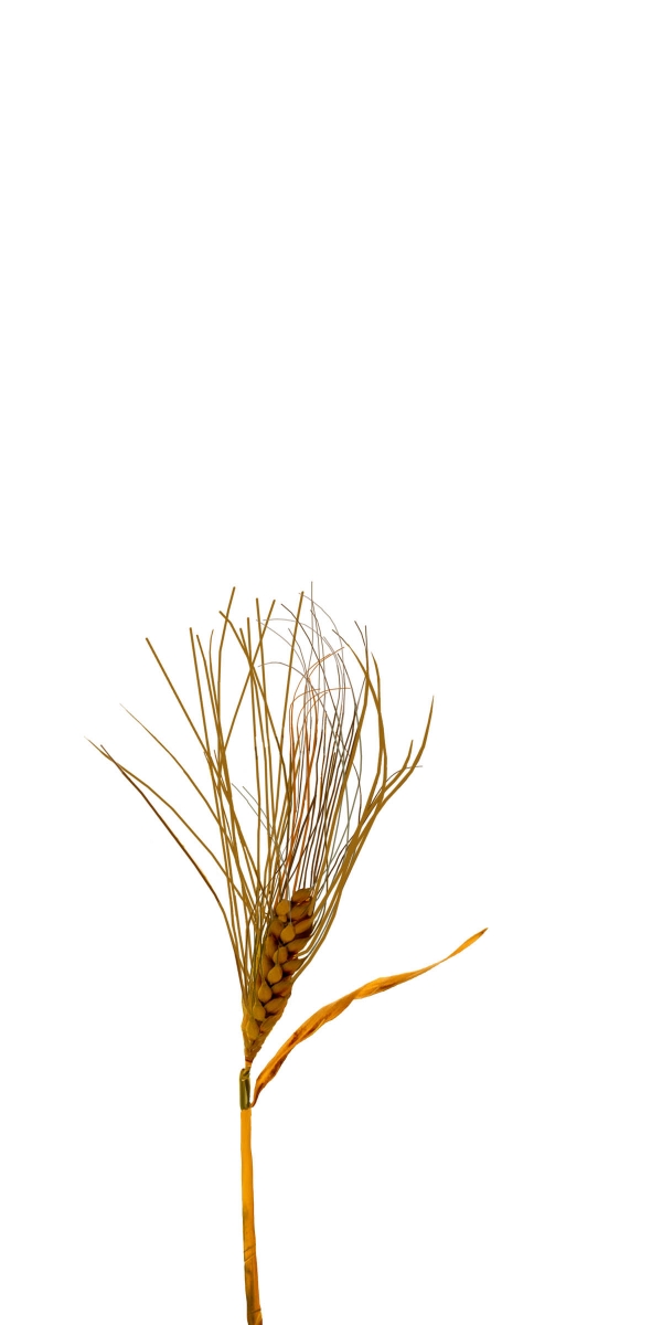 Creation of Lucky Wheat Bridal Bouquet: Step 6